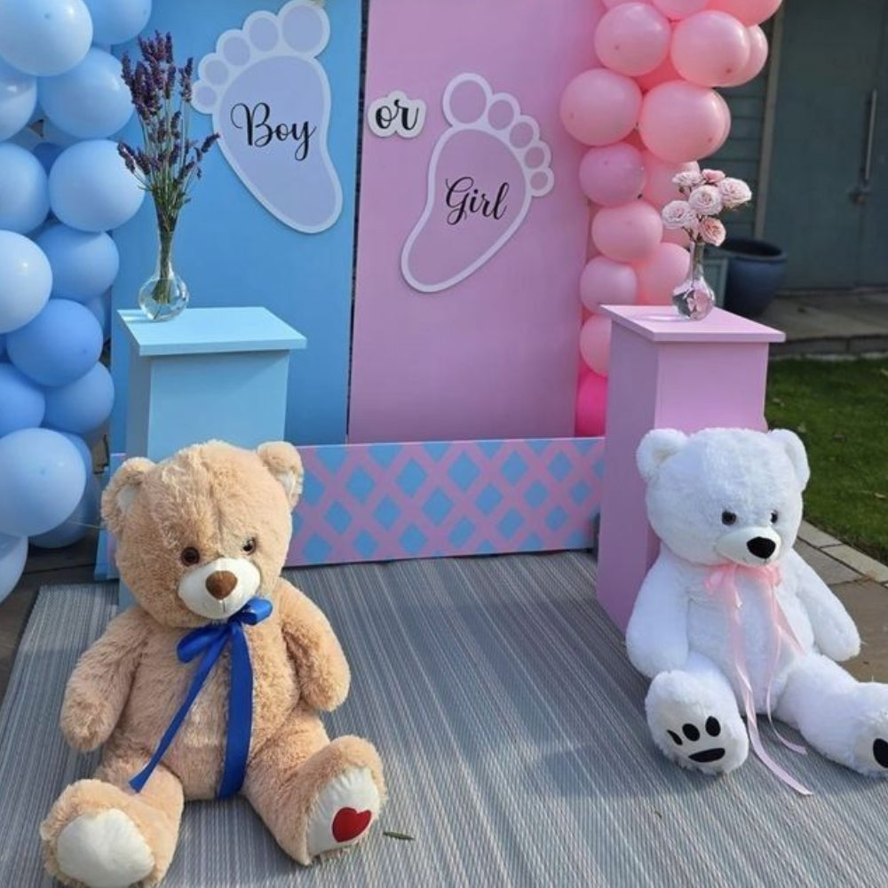 Blue and Pink Baby Shower