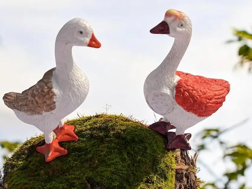 14 Pc Birds Toy Figure Set for Kids, Realistic Big Size Animal Birds Figure Toy
