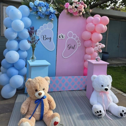 Blue and Pink Baby Shower