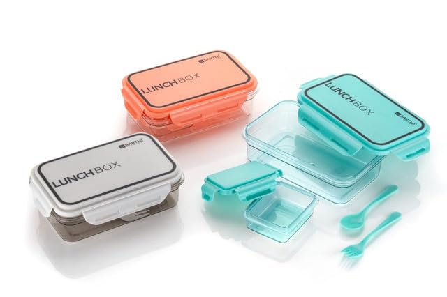 2 Compartment Transparent Classic Tiffin Lunch Box
