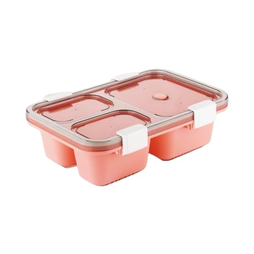 3 & 4 Compartment Lunch Box Tiffin Box with Spoon for Kids